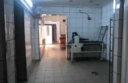 Spatiu productie alimentara sau productie usoara