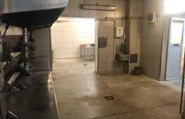 Spatiu productie alimentara sau productie usoara