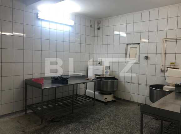 Spațiu industrial de închiriat Marasti - 52878SII | BLITZ Cluj-Napoca | Poza5