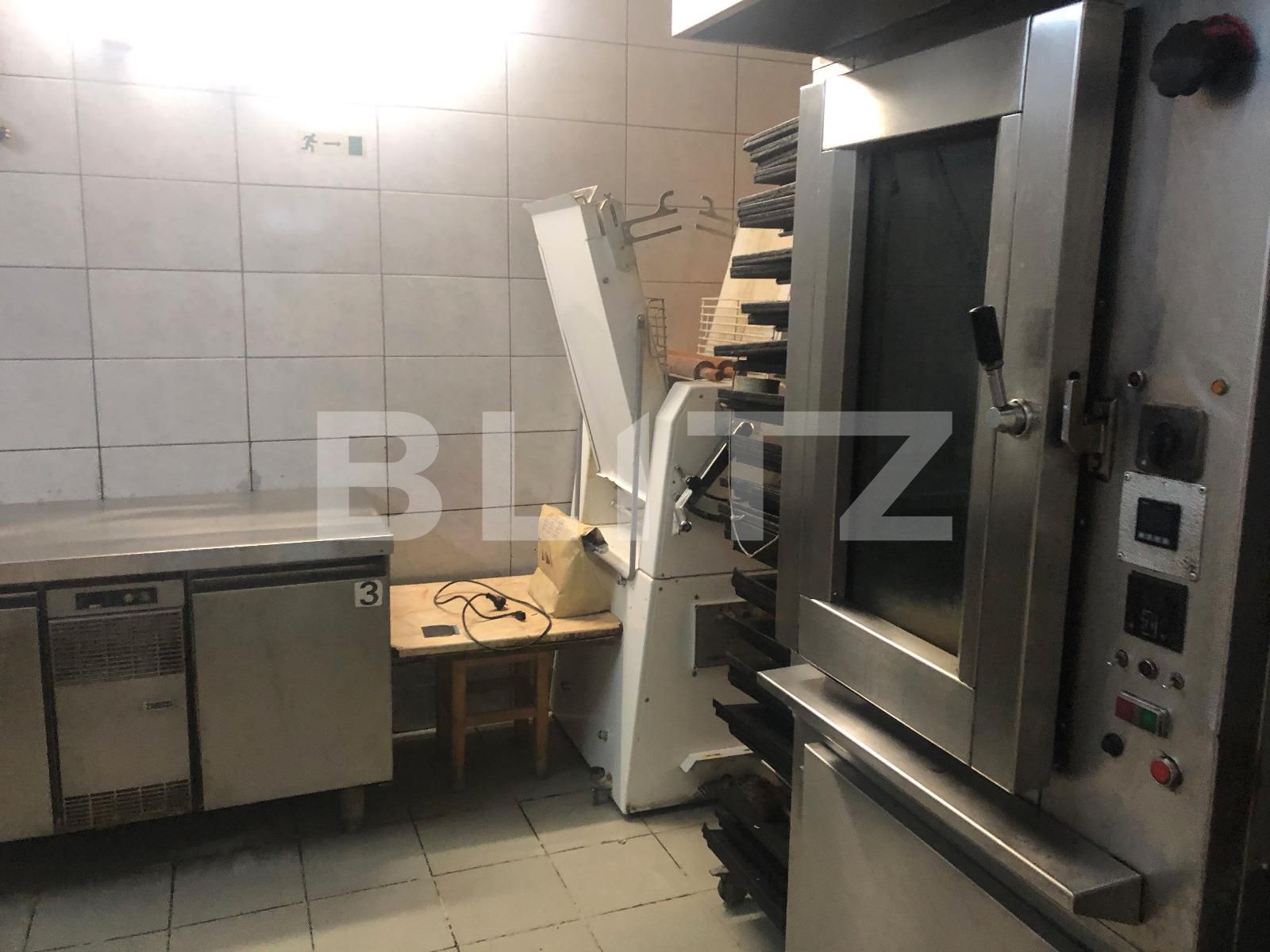 Spațiu industrial de închiriat Marasti - 52878SII | BLITZ Cluj-Napoca | Poza10