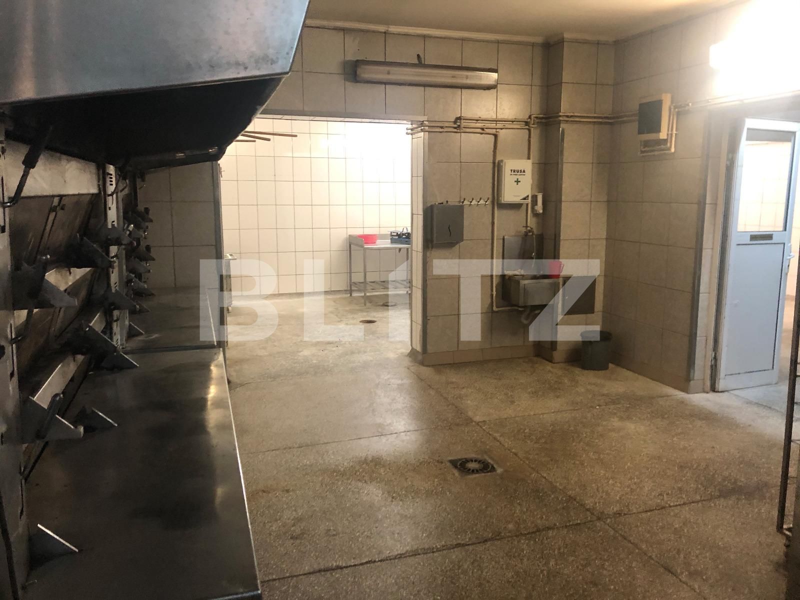 Spațiu industrial de închiriat Marasti - 52878SII | BLITZ Cluj-Napoca | Poza8