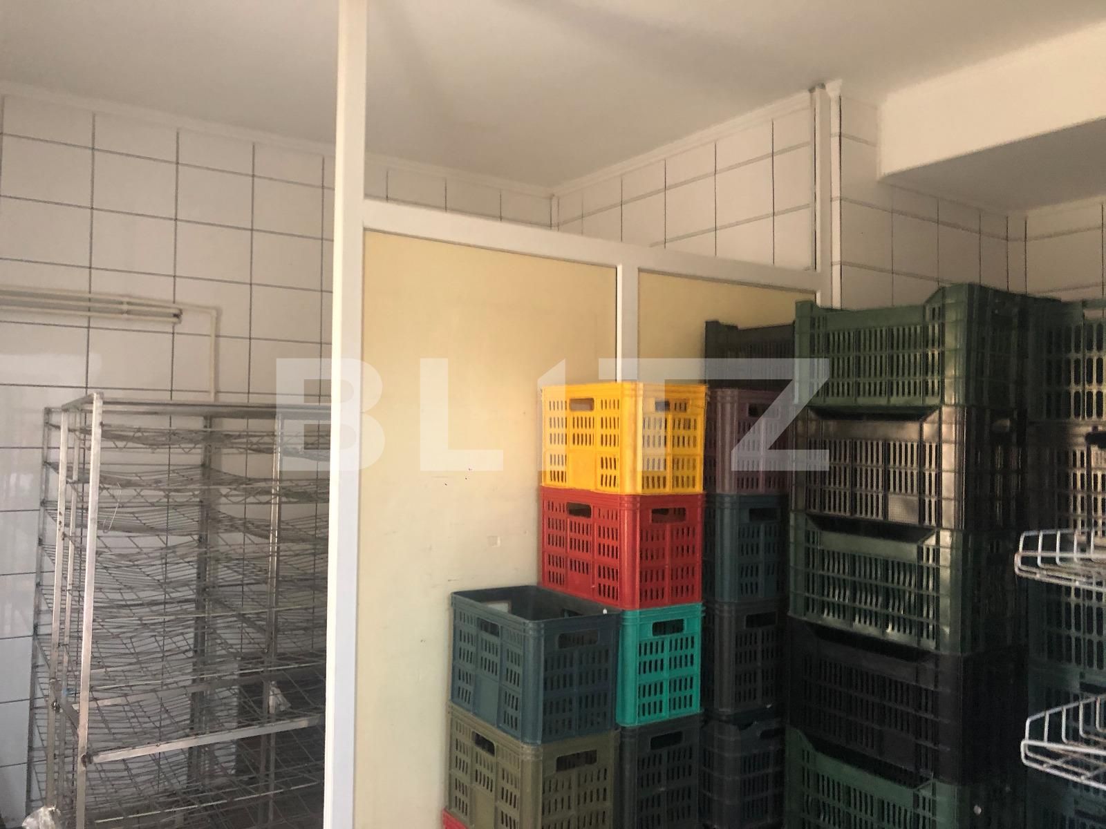 Spațiu industrial de închiriat Marasti - 52878SII | BLITZ Cluj-Napoca | Poza9