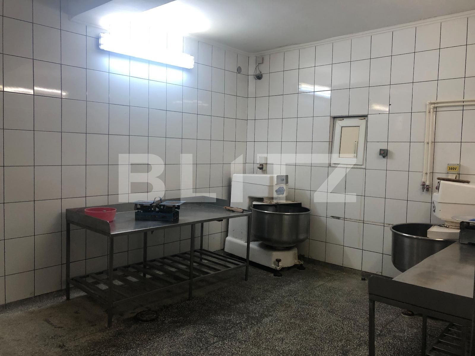 Spațiu industrial de închiriat Marasti - 52878SII | BLITZ Cluj-Napoca | Poza5