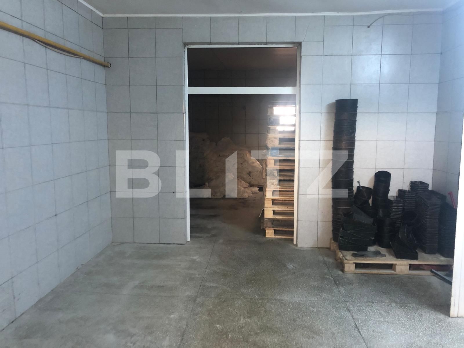 Spațiu industrial de închiriat Marasti - 52878SII | BLITZ Cluj-Napoca | Poza6