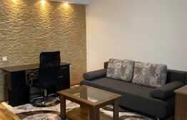 Garsoniera 27 mp, recent renovata, zona strazii Parang