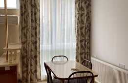 Garsoniera 27 mp, recent renovata, zona strazii Parang