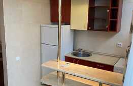 Garsoniera 27 mp, recent renovata, zona strazii Parang