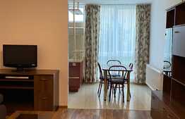 Garsoniera 27 mp, recent renovata, zona strazii Parang