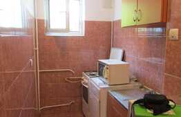 Apartament 2 camere, 33 mp, zona strazii Alverna! Oportunitate investitie! 