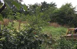 De vanzare casa individuala,100 mp utili, 500 mp teren,zona linistita