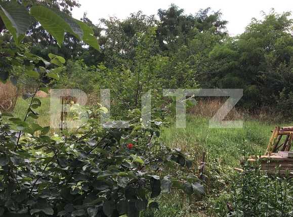 Casa de vânzare 3 camere Marasti - 52911CV | BLITZ Cluj-Napoca | Poza5