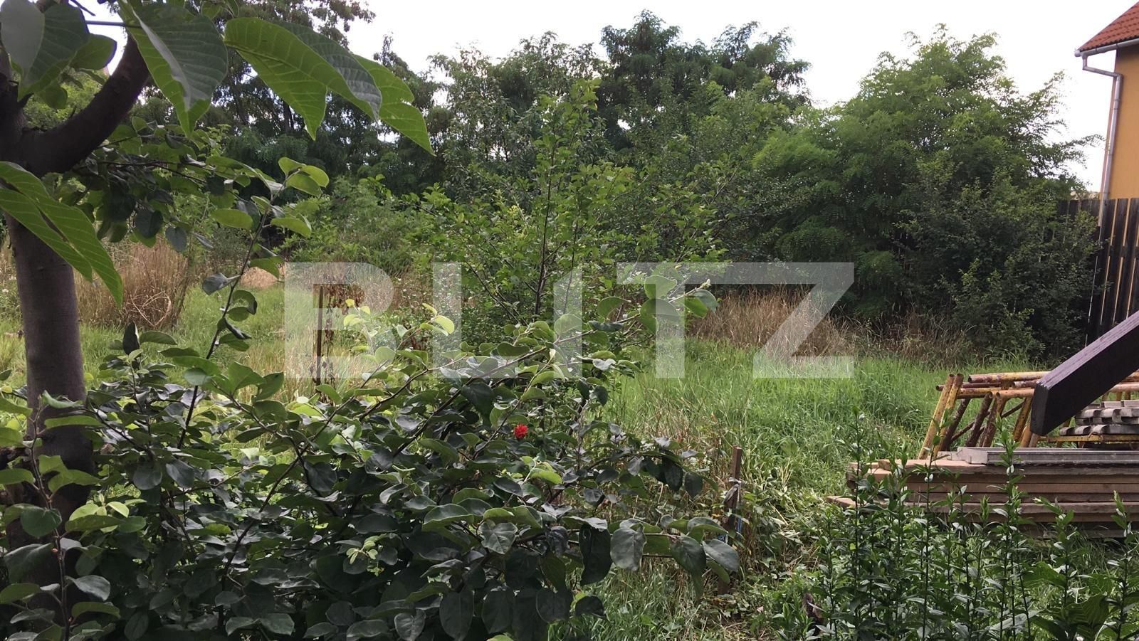 Casa de vânzare 3 camere Marasti - 52911CV | BLITZ Cluj-Napoca | Poza5