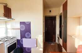 Garsoniera cu priveliste, finisata si mobilata, zona Diana