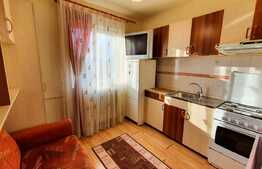 Garsoniera cu priveliste, finisata si mobilata, zona Diana