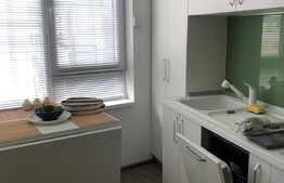 Apartament 1 camera, 48 mp, garaj, AC, imobil nou, Complex River Side