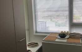 Apartament 1 camera, 48 mp, garaj, AC, imobil nou, Complex River Side