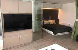 Apartament 1 camera, 48 mp, garaj, AC, imobil nou, Complex River Side