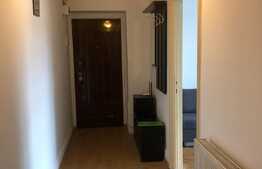 Apartament 2 camere decomandate, 55 mp, garaj, zona Farmec