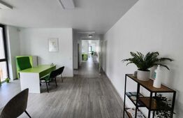 Casa individuala, 240 mp, 8 locuri de parcare, zona Gheorgheni