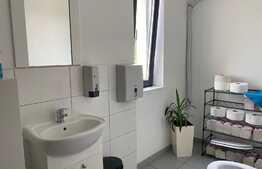 Casa individuala, 240 mp, 8 locuri de parcare, zona Gheorgheni