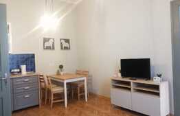 Apartament 2 camere, 40 mp, modern, zona Centrala