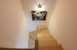 Duplex finisat la 5 minute de Vivo! zona Muzeul Apei!