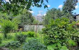 De vanzare casa in calcan, renovabila 41 mp utili, 230 mp teren,1 camera, zona linistita