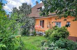 De vanzare casa in calcan, renovabila 41 mp utili, 230 mp teren,1 camera, zona linistita