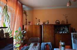 De vanzare casa in calcan, renovabila 41 mp utili, 230 mp teren,1 camera, zona linistita