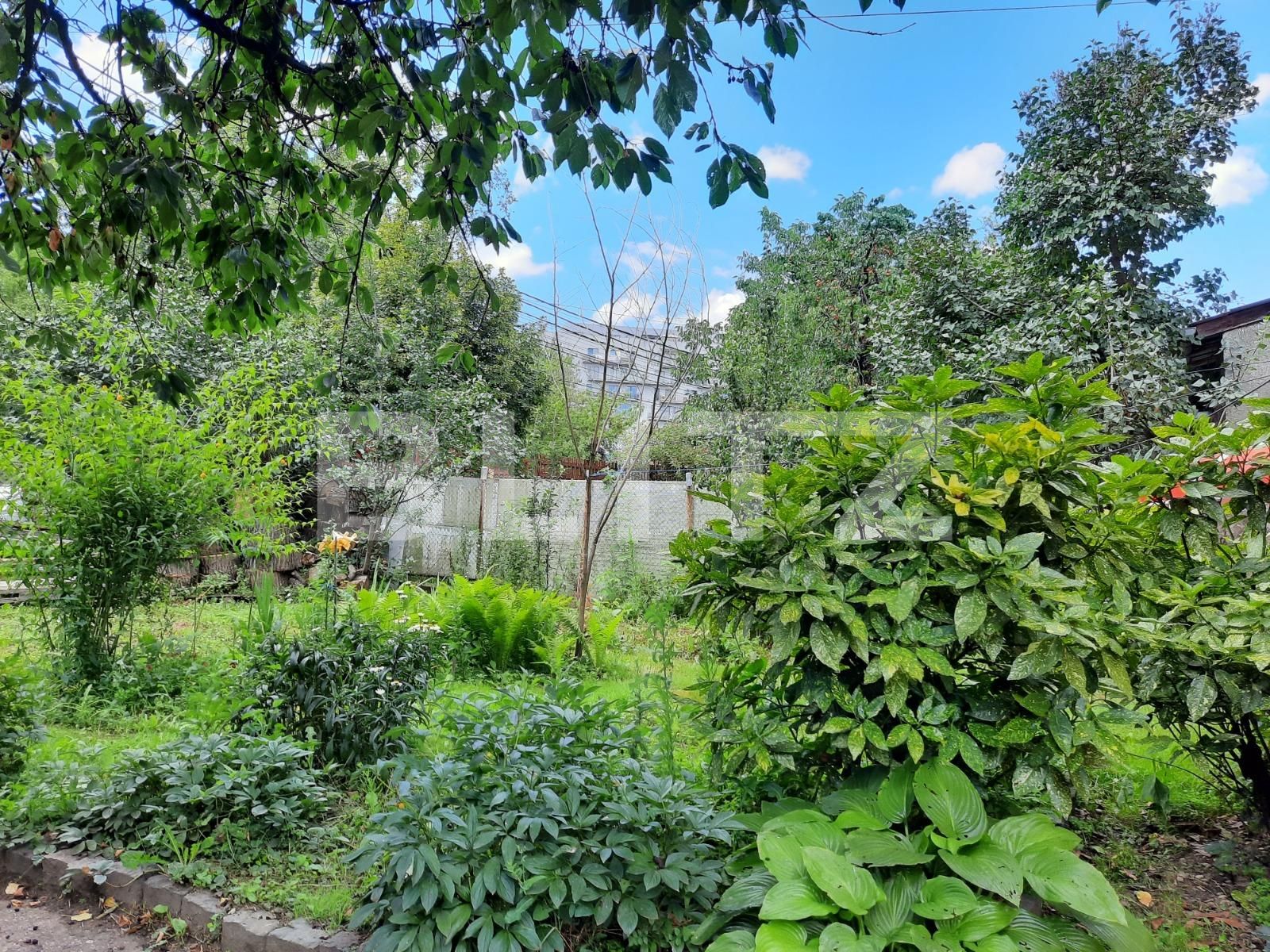 Casa de vânzare 1 camera Marasti - 52946CV | BLITZ Cluj-Napoca | Poza3