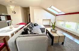 Apartament 2 camere LUX , 62mp, Zona Profi, Pet friendly 