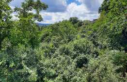 De vanzare casa individuala, 279 mp utili, 342 mp teren, zona linistita