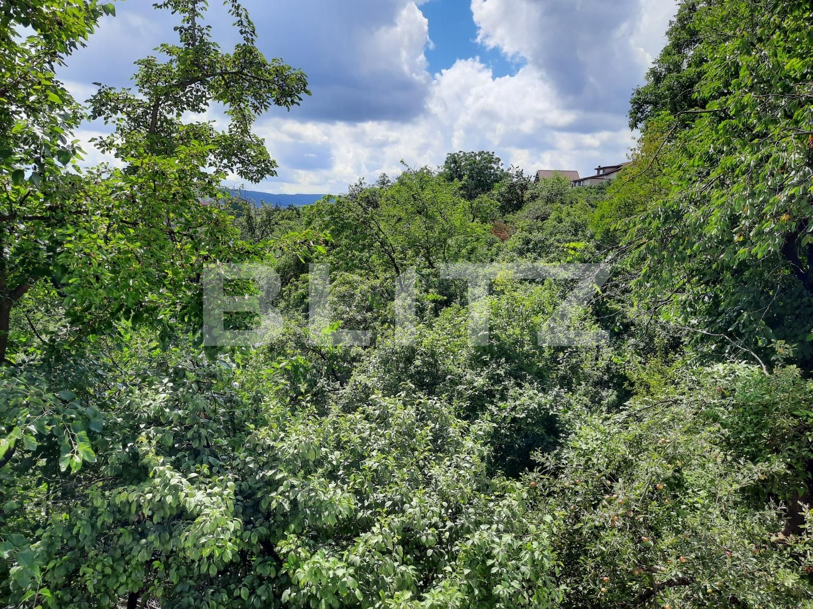 Casa de vânzare 6 camere Dambul Rotund - 52954CV | BLITZ Cluj-Napoca | Poza10