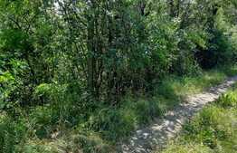 Teren 1713mp, cu panorama superba, zona Maramuresului