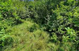 Teren 1713mp, cu panorama superba, zona Maramuresului