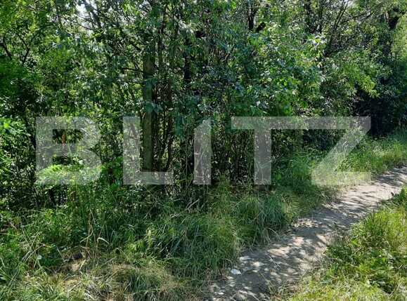 Teren de vânzare Dambul Rotund - 52957TV | BLITZ Cluj-Napoca | Poza4