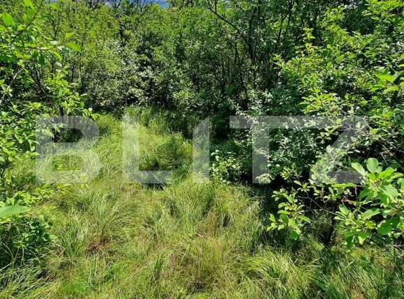 Teren de vânzare Dambul Rotund - 52957TV | BLITZ Cluj-Napoca | Poza3