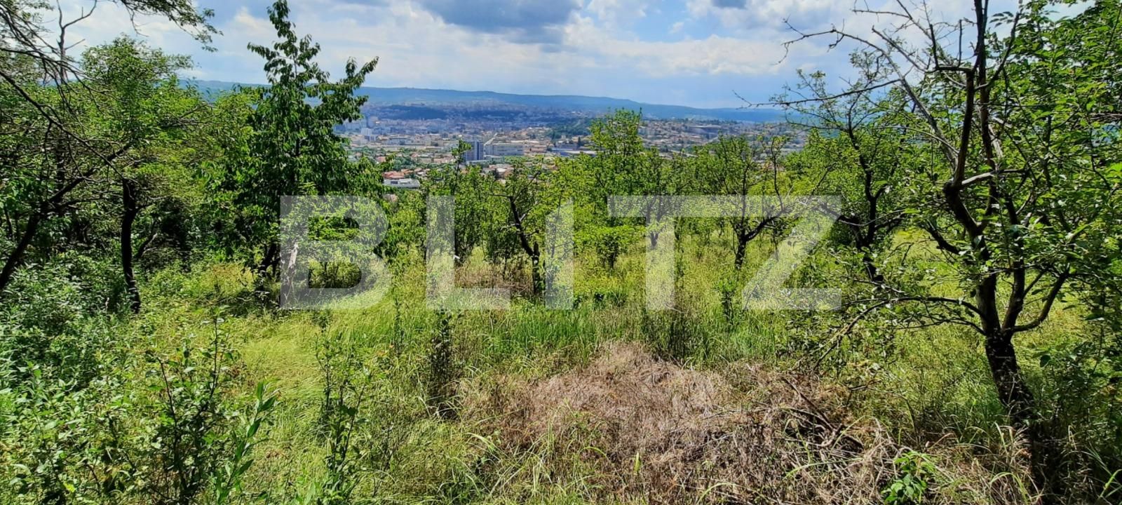 Teren de vânzare Dambul Rotund - 52957TV | BLITZ Cluj-Napoca | Poza2