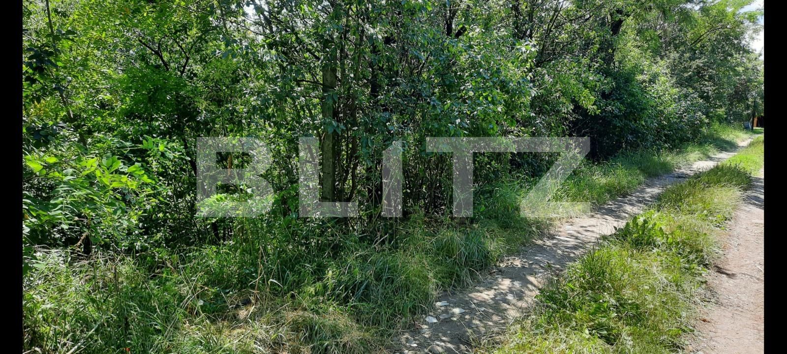 Teren de vânzare Dambul Rotund - 52957TV | BLITZ Cluj-Napoca | Poza4