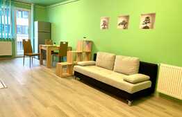 Apartament 2 camere,mobilat nou, 54mp, parcare subterana, zona strazii Rodnei, 