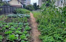 Casa cu teren de 1392 mp in zona strazii Bucuresti