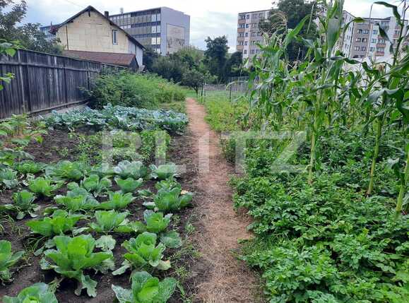 Casa de vânzare 3 camere Marasti - 52962CV | BLITZ Cluj-Napoca | Poza10