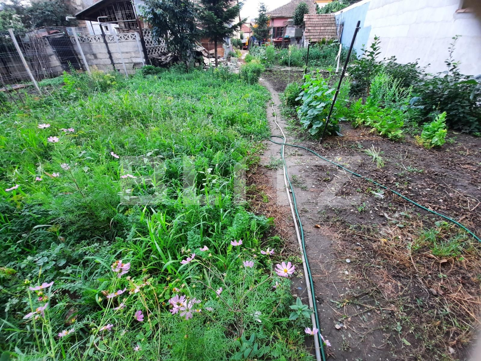 Casa de vânzare 3 camere Marasti - 52962CV | BLITZ Cluj-Napoca | Poza2