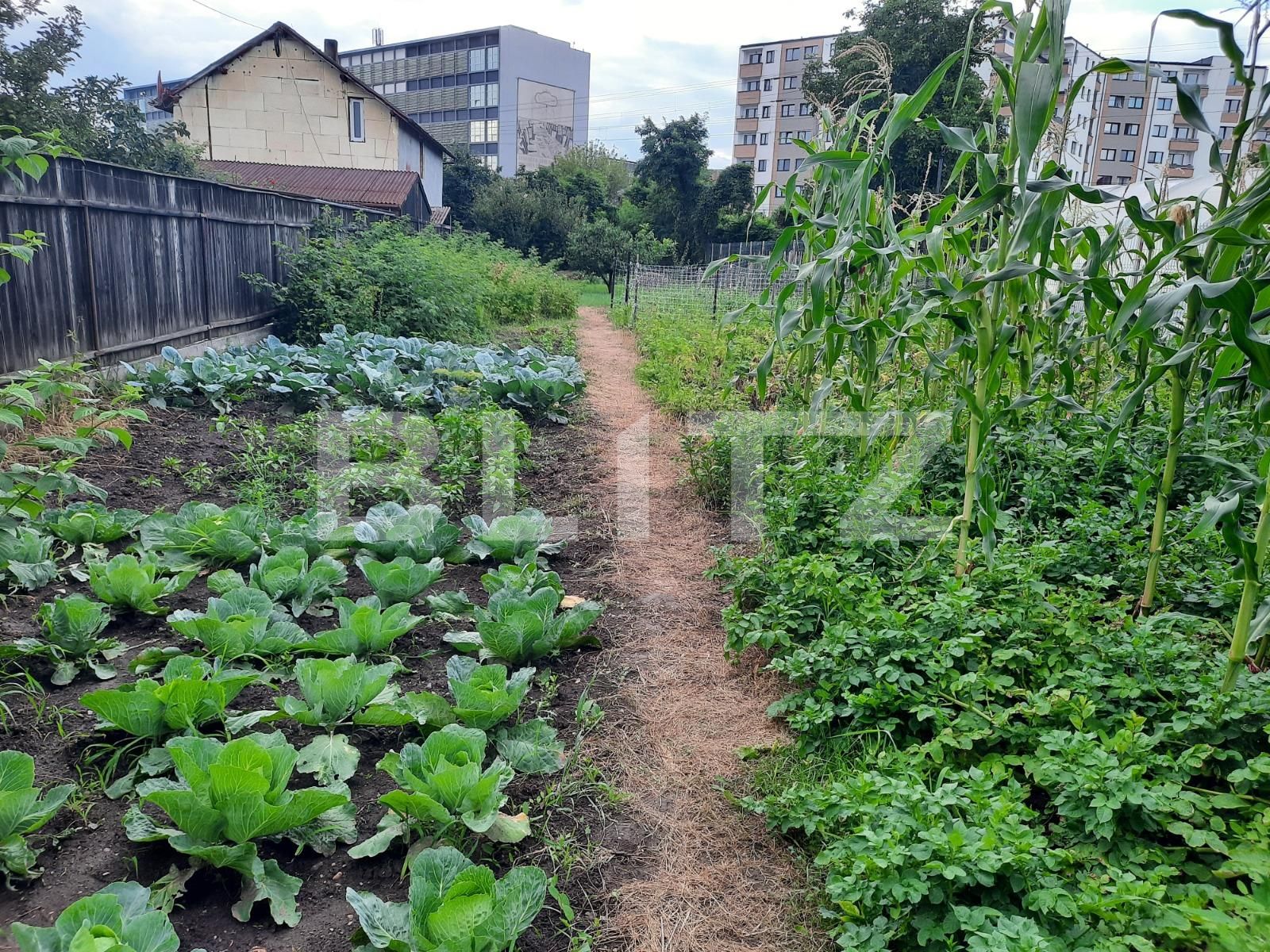 Casa de vânzare 3 camere Marasti - 52962CV | BLITZ Cluj-Napoca | Poza10