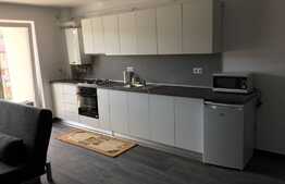 Apartament cu 2 camere, 57 mp, parcare subterana, zona strazii Corneliu Coposu