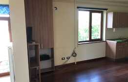 Penthouse de 180 mp, 4 camere, parcare, zona Traian Vuia