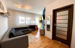 Apartament cu 2 camere, mobilat lux, 42mp, Parcare inclusa, zona strazii Eugen Ionescu 