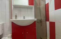 Apartament 1 camera,48 mp, dresing, zona strazii Aleea Bizusa, Gheogheni. 