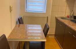 Apartament 1 camera,48 mp, dresing, zona strazii Aleea Bizusa, Gheogheni. 