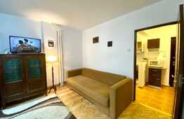 Apartament 1 camera,48 mp, dresing, zona strazii Aleea Bizusa, Gheogheni. 